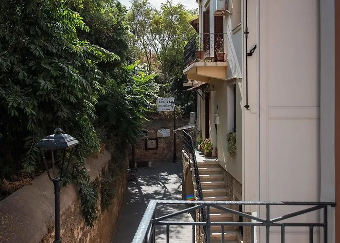 Elia Portou Chania (Crete)